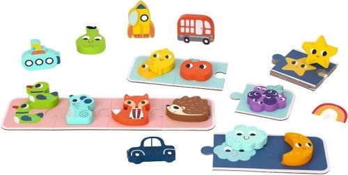 купить Головоломка Tooky Toy R25 /14 (372226) для  пямати TH324 в Кишинёве 