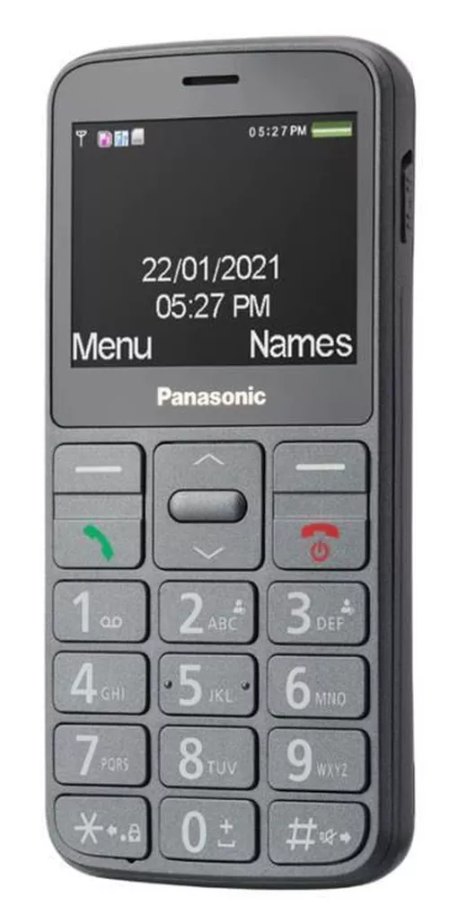 купить Телефон мобильный Panasonic KX-TU160EXG в Кишинёве 