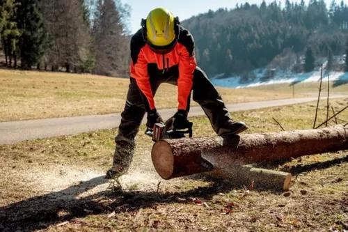 cumpără Fierăstrău Metabo MS 36-18 LTX BL 40 601613850 în Chișinău 