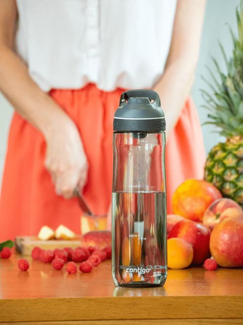 cumpără Sticlă apă Contigo Cortland Smoke 720ml în Chișinău 