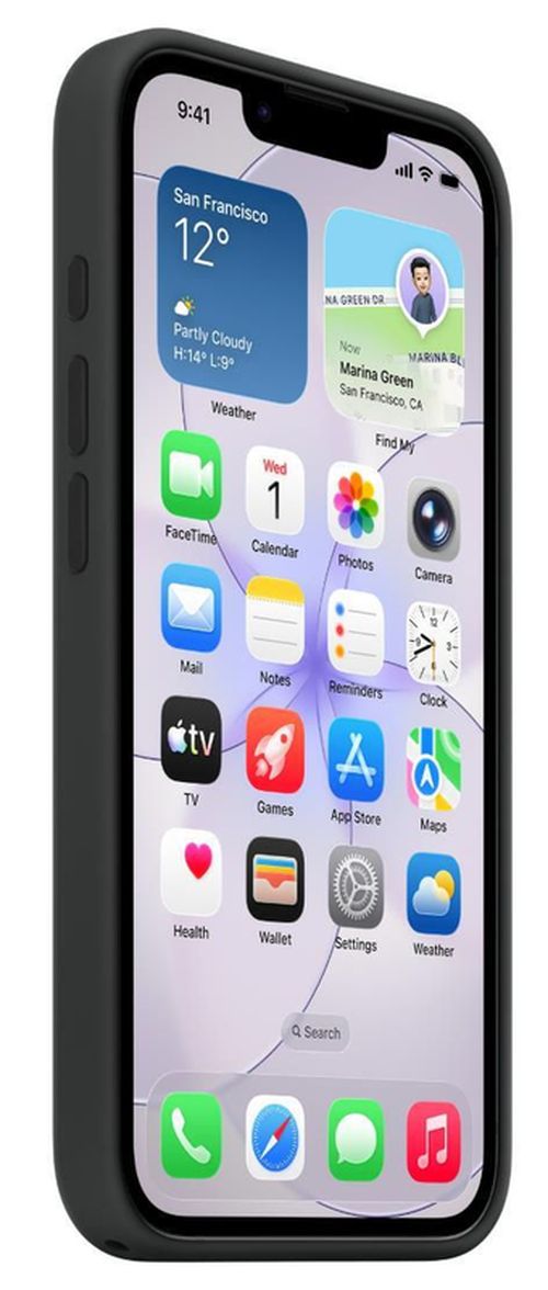 купить Чехол для смартфона Apple iPhone 17e Silicone MagSafe Black MHWD4 в Кишинёве 