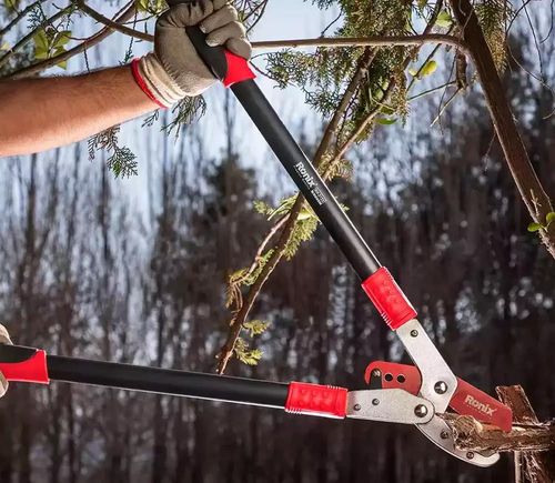 купить Ножницы садовые Ronix RH-3122 Секатор для чистки деревьев 720мм в Кишинёве 