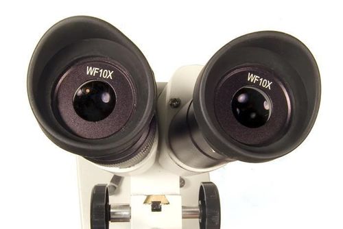 cumpără Microscop Levenhuk 2ST Microscope în Chișinău 