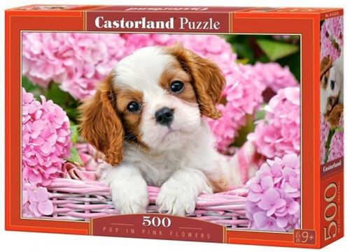 cumpără Puzzle Castorland Puzzle B-52233 Puzzle 500 elemente în Chișinău 