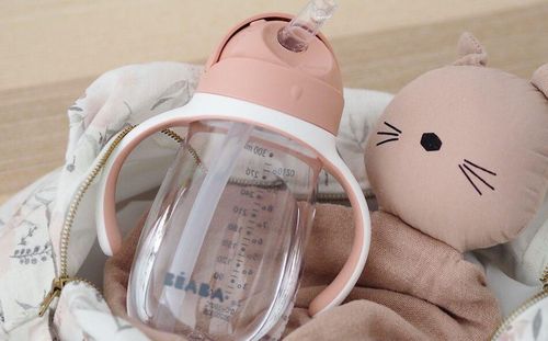 купить Поильник Beaba B913480 Cana cu pai 300ml в Кишинёве 