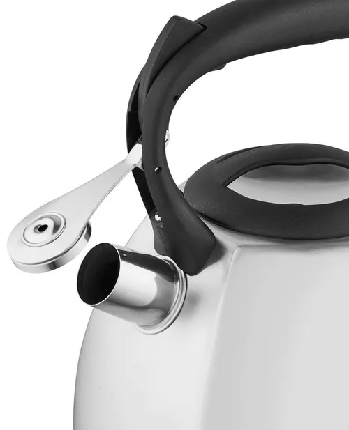 cumpără Ceainic aragaz Florina DAKOTA, 2,5L în Chișinău 