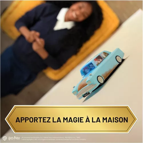 cumpără Jucărie cu telecomandă miscellaneous 6072707 Harry Potter, Летающая машинка Уизли на R/C în Chișinău 