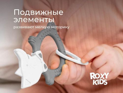 cumpără Iinel dentiție Roxy Kids RBT20032 FOX, серый în Chișinău 