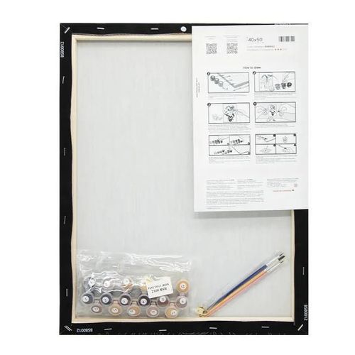 cumpără Tablou pe numere BrushMe BS54508 40x50cm Eco, Victorie stralucitoare în Chișinău 