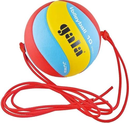 купить Мяч Gala 5941 Minge volei 5481/5485 JUMP cu corduri elastice в Кишинёве 