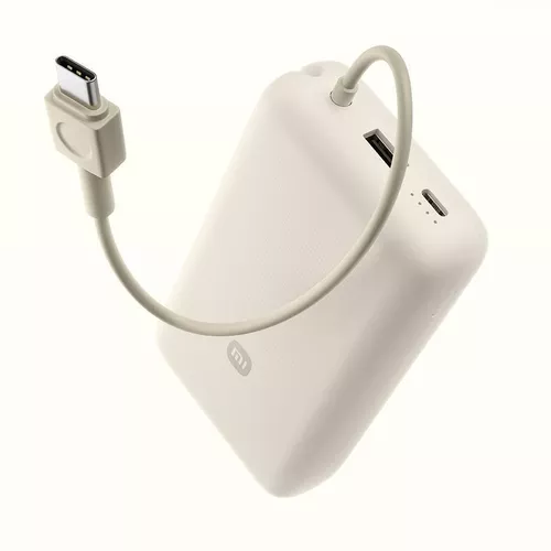 cumpără Acumulator extern USB (Powerbank) Xiaomi Mi 33W Power Bank 20000mAh w/cable Tan în Chișinău 