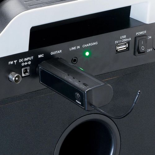 купить Микрофон Lenco MCW-011BK в Кишинёве 