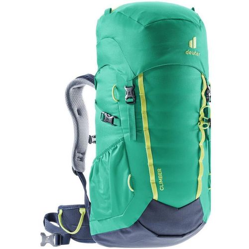 купить Туристический рюкзак Deuter Climber fern-ink в Кишинёве 