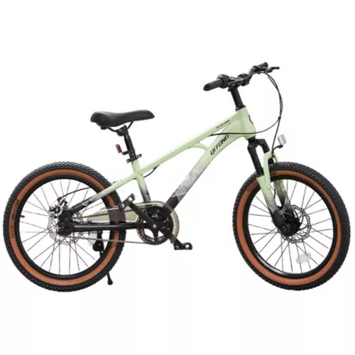 купить Велосипед miscellaneous 61297 20" TN23A04, verde в Кишинёве 