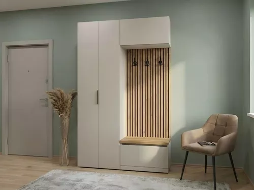 купить Мебель для прихожей Fabrik Home Шкаф для прихожей HARDY 2 двери Светло-серый матовый в Кишинёве 