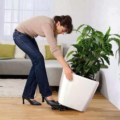 купить Цветочный горшок Lechuza Quadro Premium 43 LS, White в Кишинёве 