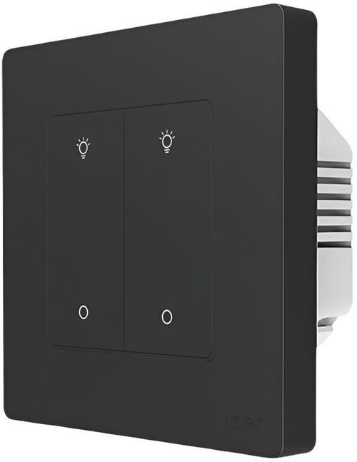 купить Выключатель электрический Moes ZS-SR-EUD2-GY-MS в Кишинёве 