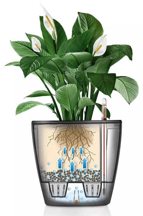 купить Цветочный горшок Lechuza Classico Premium 50 LS, White в Кишинёве 