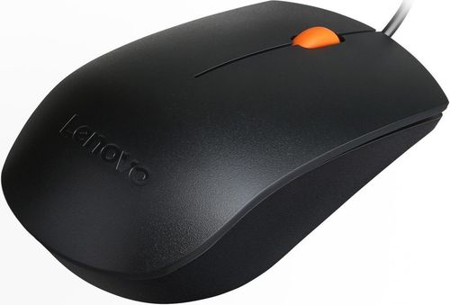 cumpără Tastatură + Mouse Lenovo 300 USB Combo - Russian/Cyrillic (441) în Chișinău 
