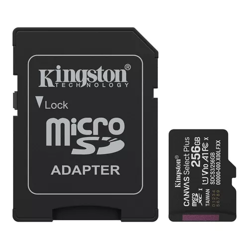 cumpără Card de memorie flash Kingston SDCS3/256GB + SD adpter în Chișinău 