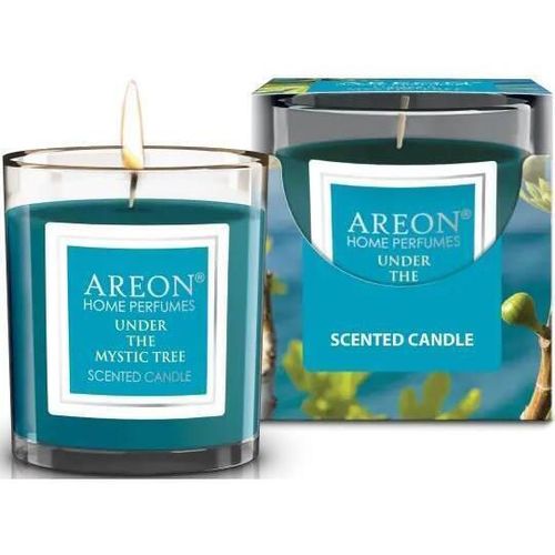 cumpără Aparat de aromatizare Areon Ароматиз. свечи 120g (Under the Mystic Tree) în Chișinău 