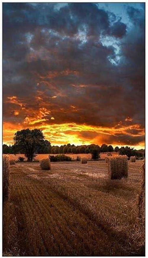 cumpără Televizor Samsung LH55VMBUBGBXEN în Chișinău 