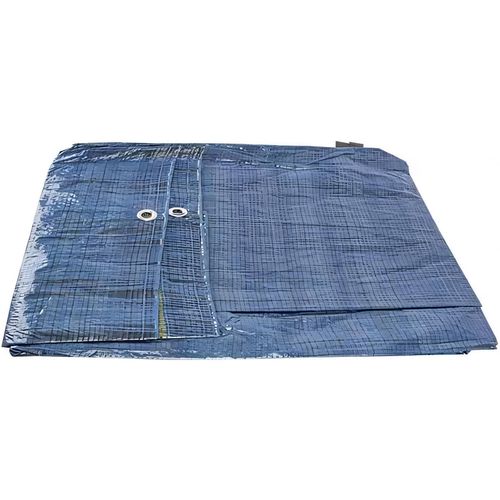 купить Брезент Profmet 175308 Брезент 5x8 м, 50 г/м², синий в Кишинёве 