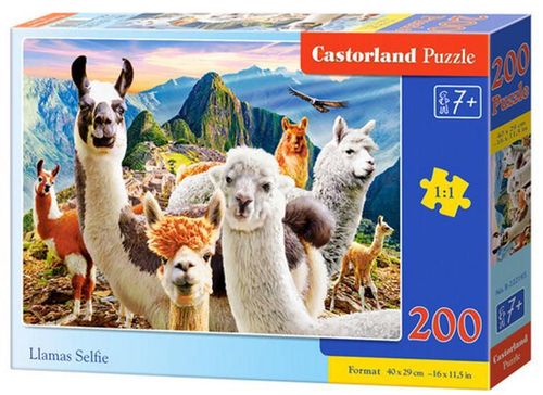 cumpără Puzzle Castorland Puzzle B-222193 Puzzle 200 elemente în Chișinău 