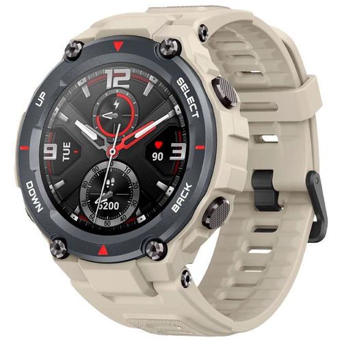 cumpără Ceas inteligent Xiaomi Amazfit T-Rex în Chișinău 