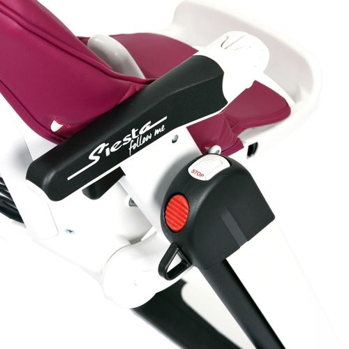 Scaun de masa Peg Perego Siesta Berry 