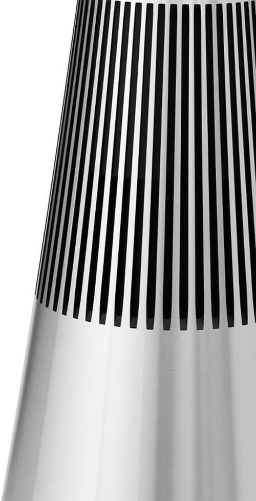 купить Колонки Hi-Fi Bang & Olufsen Beosound 2 3rd Gen Natural в Кишинёве 