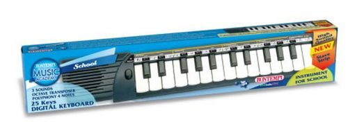 купить Музыкальная игрушка Bontempi 152500 Синтезатор с 25 миди клавишами в Кишинёве 
