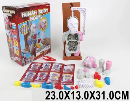 cumpără Joc educativ de masă Richi (90829) Joc de masa Corpul uman în Chișinău 