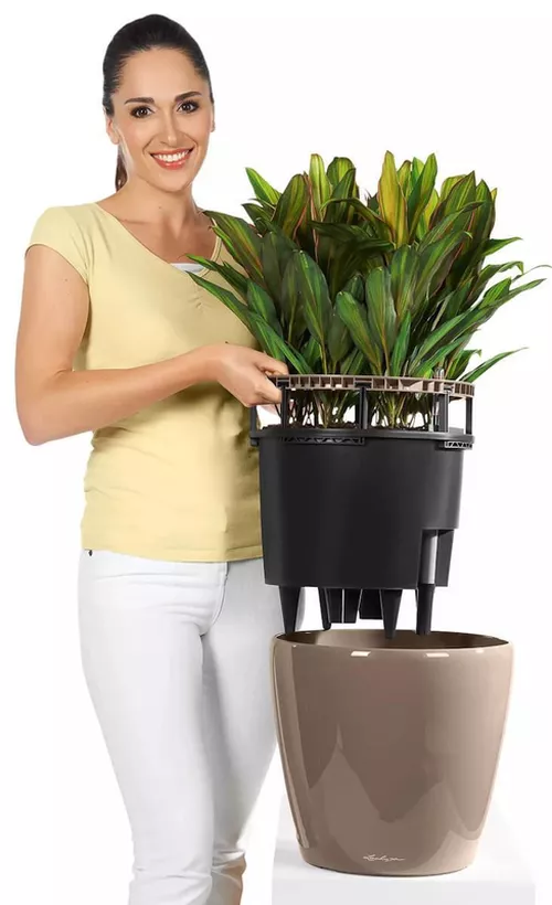 купить Цветочный горшок Lechuza Classico Premium 50 LS, White в Кишинёве 