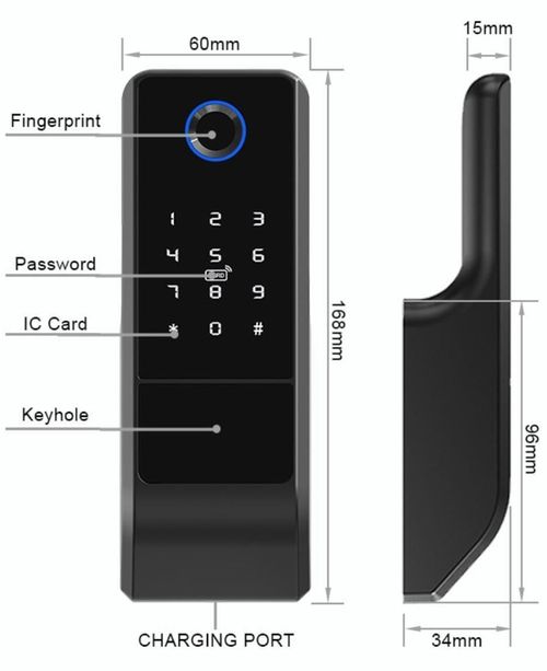 cumpără Lacat inteligent TTLock G23, для калиток în Chișinău 