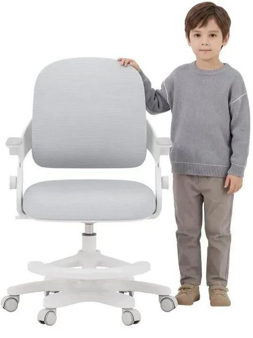 cumpără Fotoliu de birou Mark Adler Junior 4.3 Grey în Chișinău 