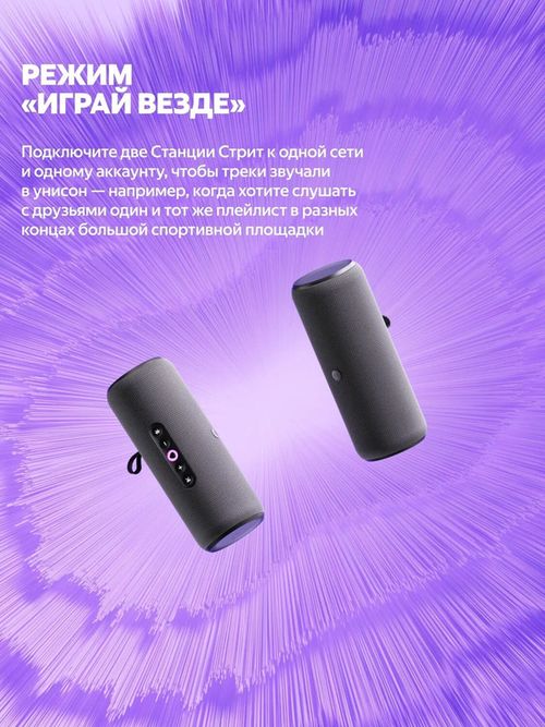 купить Колонка портативная Bluetooth Yandex YNDX-00030GRN Alisa Station Street Green в Кишинёве 