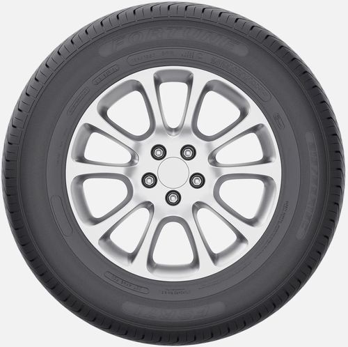 купить Шина Fortune 215/60 R16C 103/101T FSR-71 6PR в Кишинёве 