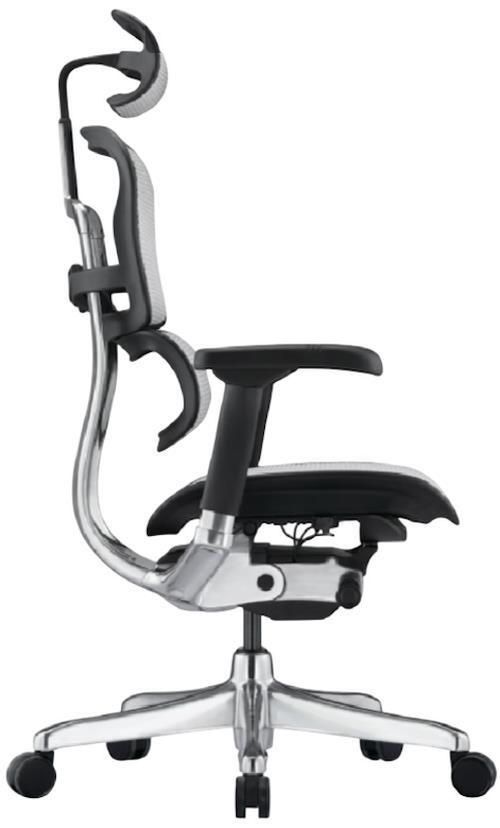 купить Офисное кресло ART Ergohuman Elite 2 BL Natural T-168-B2 EHE2-AB-HAM-5D-L в Кишинёве 