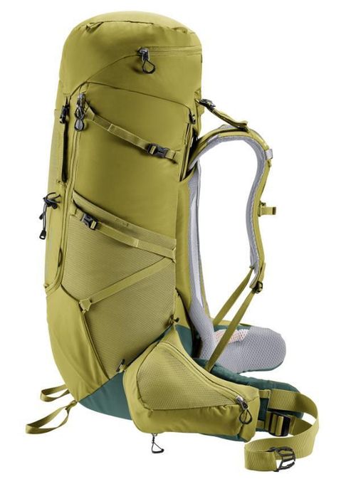 cumpără Rucsac turistic Deuter Aircontact Core 60+10 cactus-ivy în Chișinău 