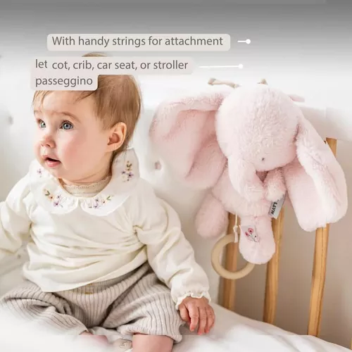 cumpără Jucărie cu pandantiv Nattou 759182 Fanfan musical plush toy elephant pink în Chișinău 