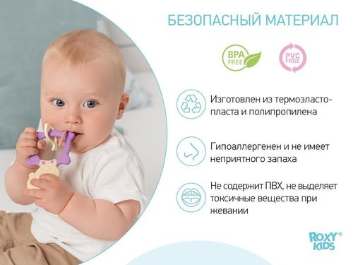 cumpără Iinel dentiție Roxy Kids RMT-002 Прорезыватель MEOW TEETHER, сиреневый în Chișinău 
