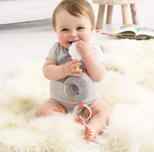 cumpără Zornăitoare Skip Hop 307154 Jucarie zornaitoare Luna în Chișinău 