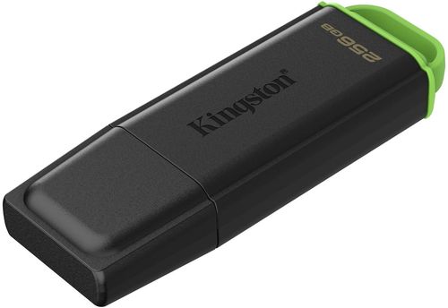 купить Флеш память USB Kingston DTXG2/256GB в Кишинёве 