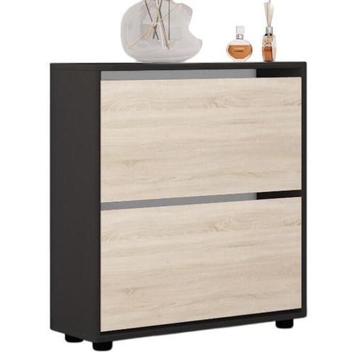 купить Полка для обуви Mobildor-Lux Leo 70x27x86H cm Anthracite/Sonoma в Кишинёве 