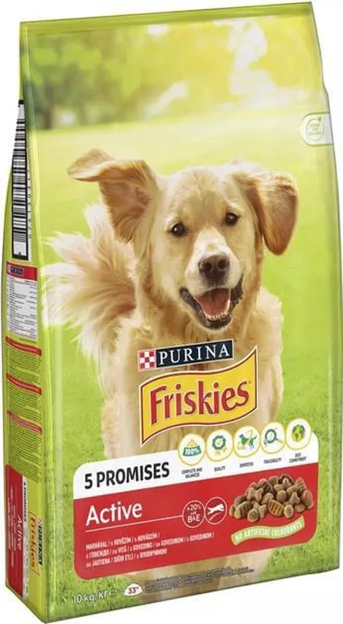 cumpără Hrană pentru animale de companie Purina Friskies Active Dog hr.usc. p/caini (vita) 10kg (1) în Chișinău 