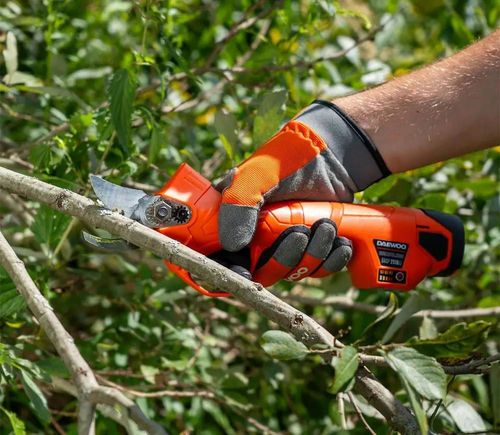 купить Ножницы садовые Daewoo DAGP 2516Li SET в Кишинёве 