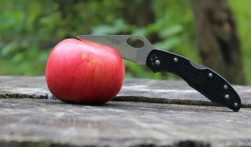 купить Нож походный Firebird F759M-BK в Кишинёве 