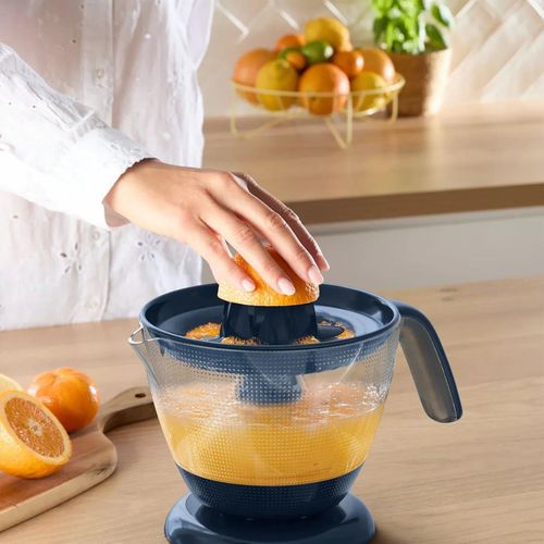 купить Соковыжималка для цитрусовых Tefal ZP2M04E0 в Кишинёве 