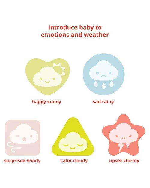 купить Сортер Skip Hop 9O293110 Skip Hop Silver Lining Cloud Feelings в Кишинёве 